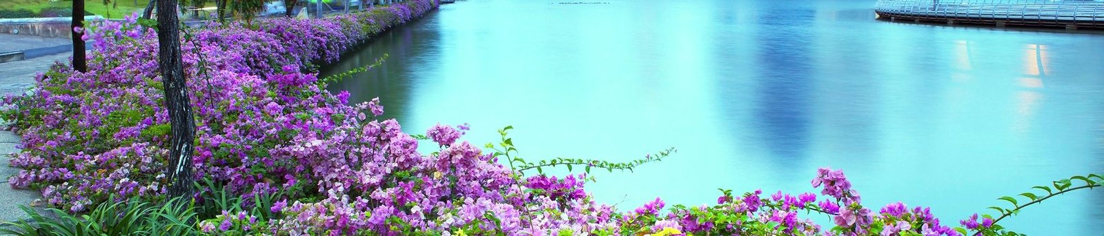 Installing Beautiful landscapes